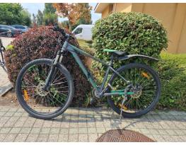 Kellys Spider 10 29"-es