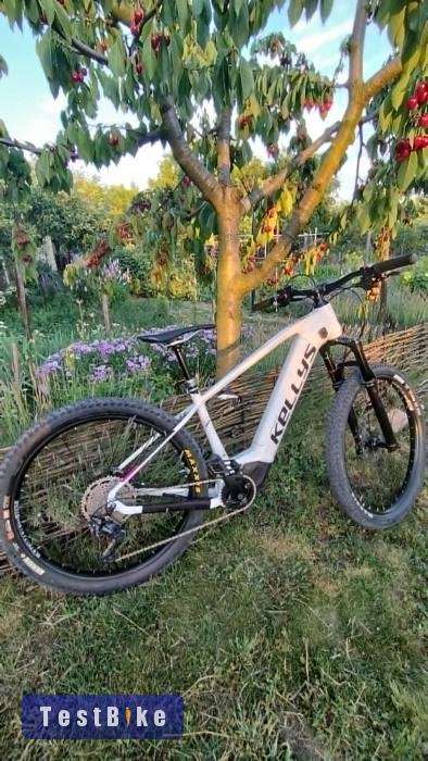 Kellys Tayen R50 M