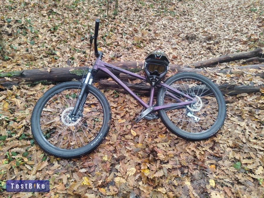 Kelly's whip 10 dirt bike