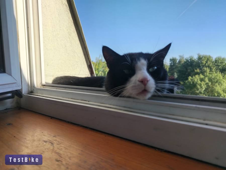 Keresek ZS 49/49 28.6 30 kormánycsapágyat.              