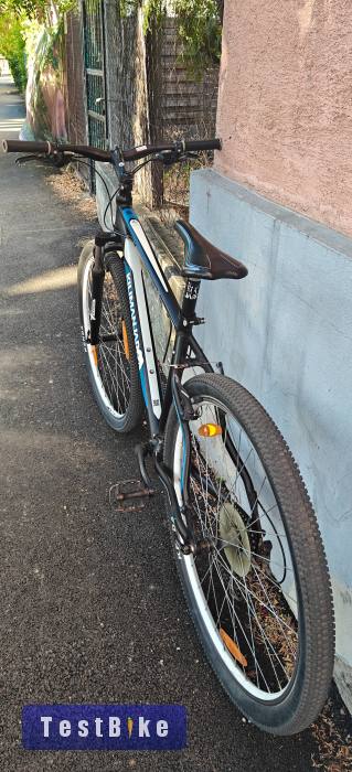 Kilimanjaro Sport MTB 29"