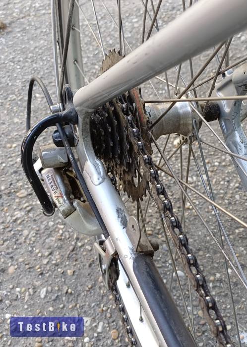 Koga-Miyata Balance, 28-as prémium, holland női kerékpár