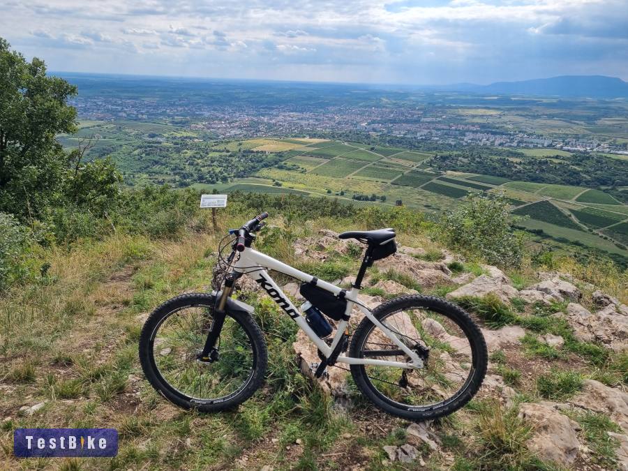 Kona Shred M