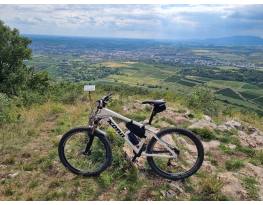 Kona Shred M