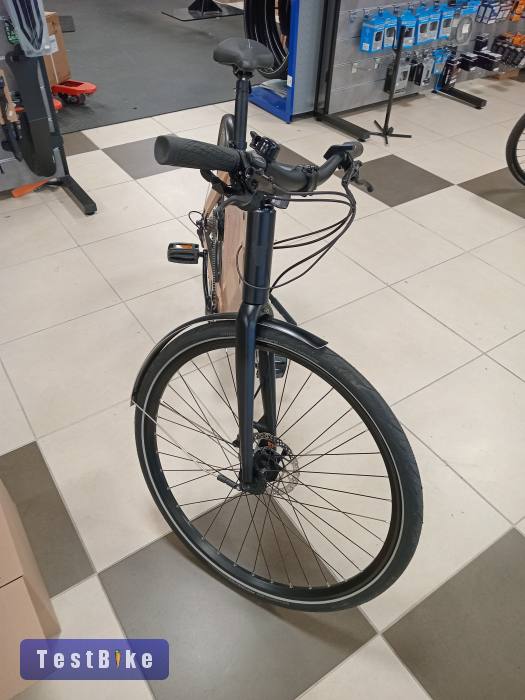 Kőrisfa bicikli