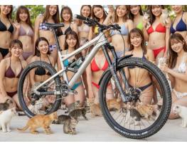 Liteville 601 27,5 superenduro váz 190mm rugóúttal L (46cm) 