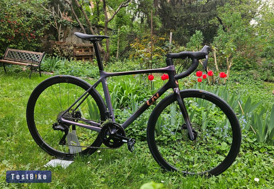 Liv Langma Advanced pro 1 Disc 2023
