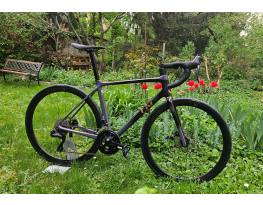 Liv Langma Advanced pro 1 Disc 2023