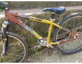 Magellan Polarx