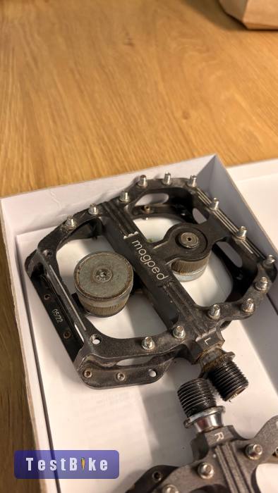 Magped Enduro 2