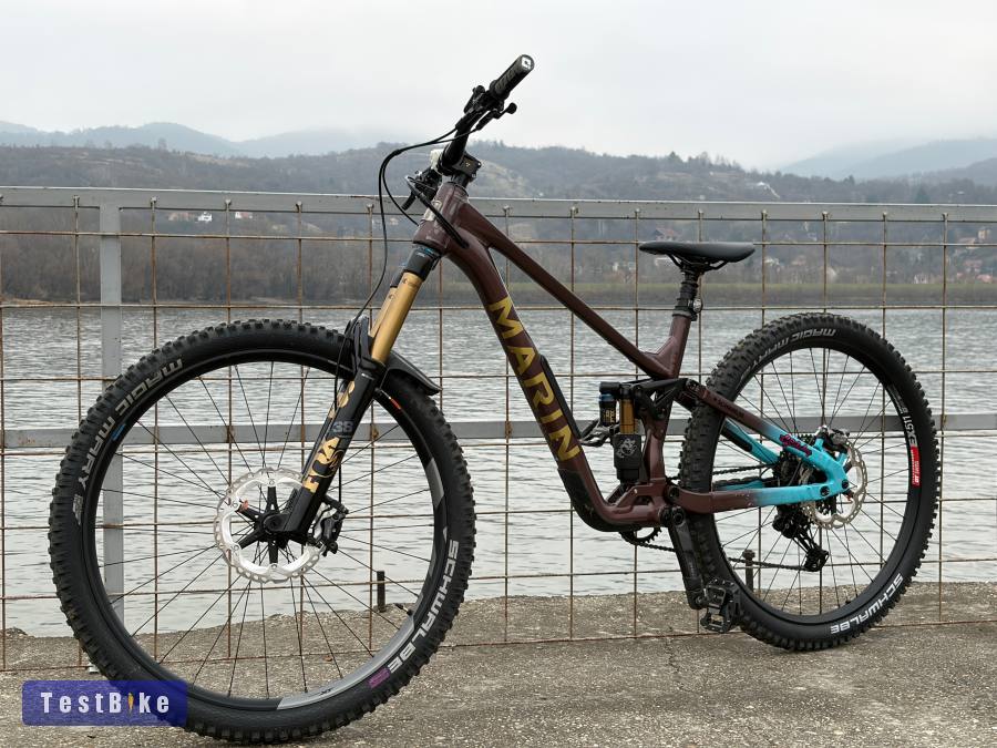 Marin Alpin Trai1