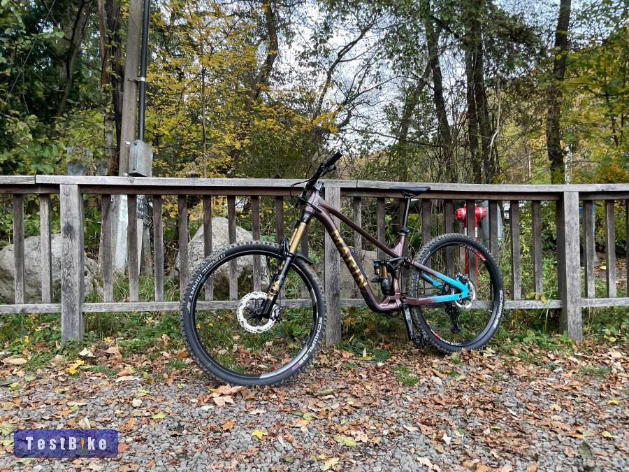 Marin Alpin Trail1