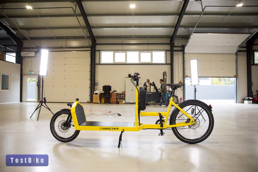 Mastiff Cargo Bike 