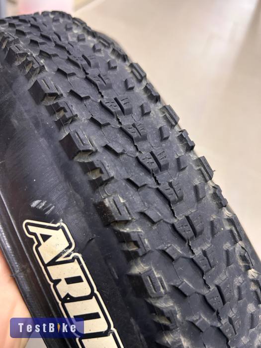 Maxxis Ardent Race 29x2.2 MTB gumi