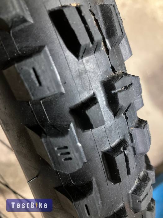 Maxxis Assegai 29x2,6 MaxxTerra Exo TR
