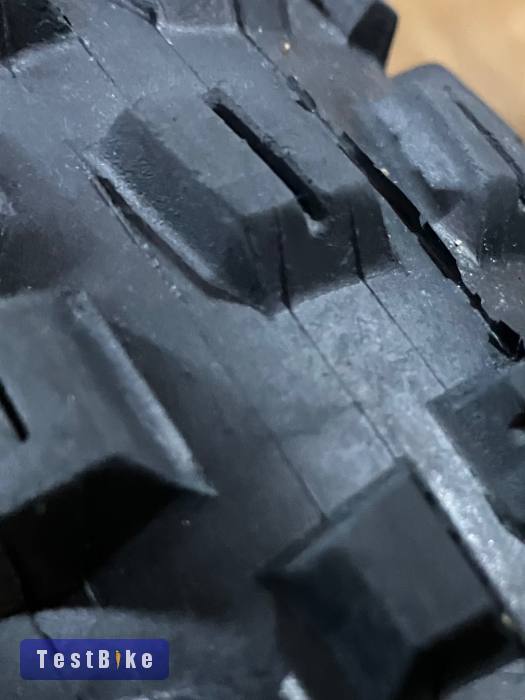 Maxxis Assegai 29x2,6 MaxxTerra Exo TR