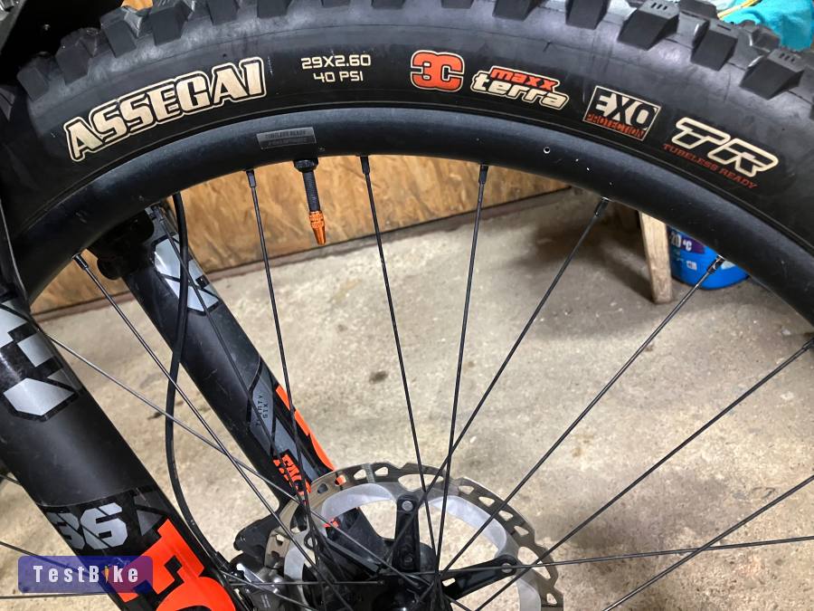 Maxxis Assegai 29x2,6 MaxxTerra Exo TR
