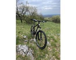 Merida Trail 19"