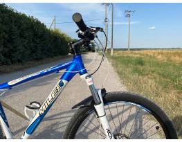 Miles Xentos XC Racing "29" (XL) MTB