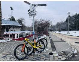 Mondraker Foxy RR 
