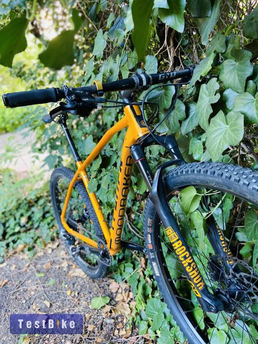 Mondraker RR Leader 29"