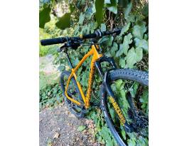 Mondraker RR Leader 29"