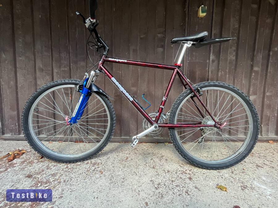 Mongoose 19"