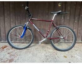 Mongoose 19"