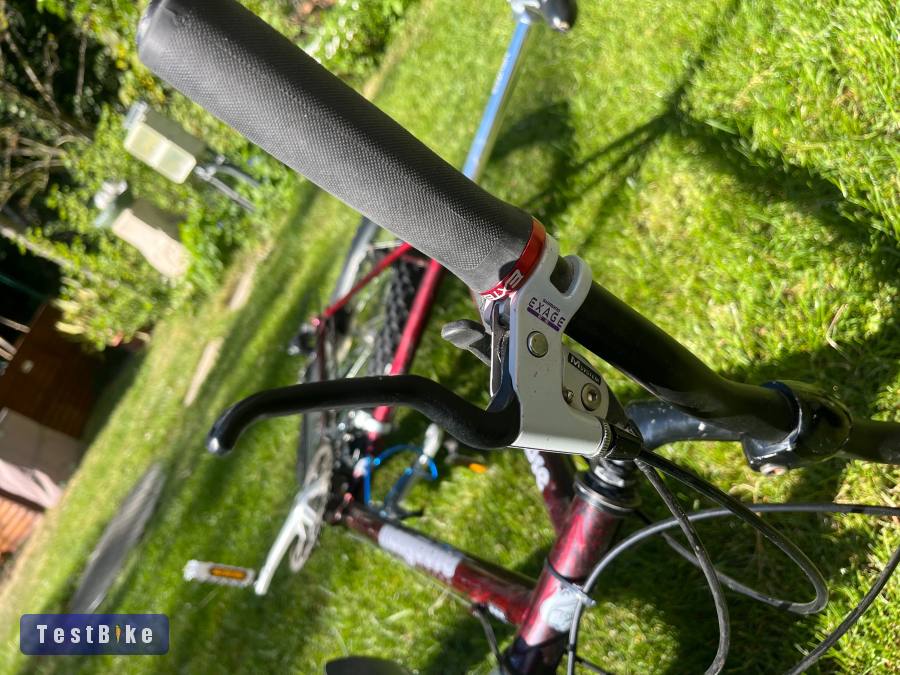 Mongoose Rockadile 19"