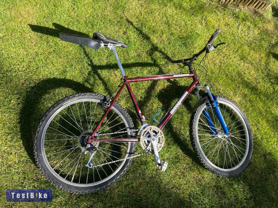 Mongoose Rockadile 19"