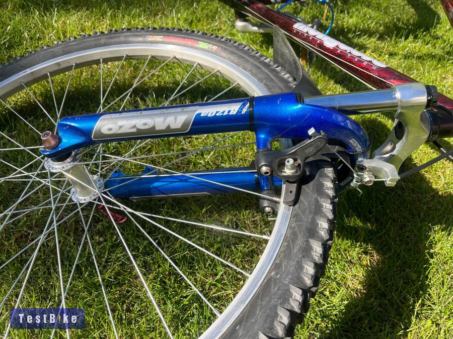 Mongoose Rockadile 19"