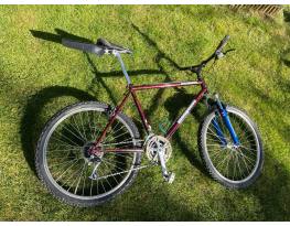 Mongoose Rockadile 19"