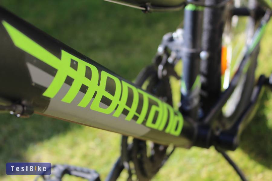 Montana 24" Junior MTB