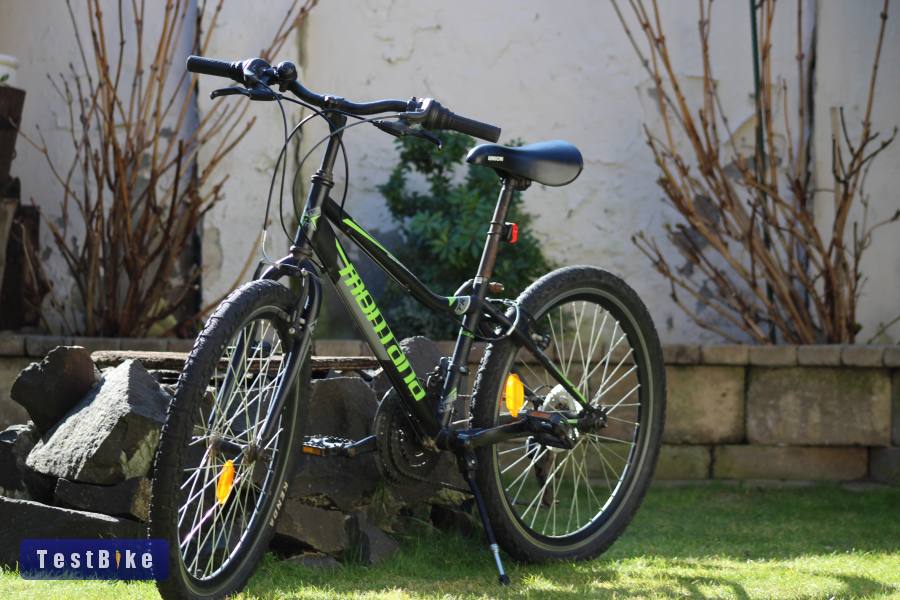 Montana 24" Junior MTB