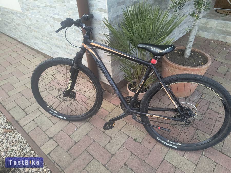 MTB visitor explosion 29" (2023)