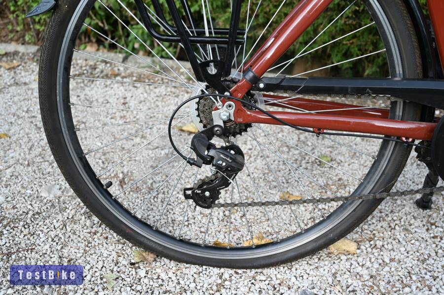 Neuzer Hollandia Basic