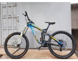 Norco aurum 1