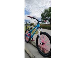 NS Bitch dirt jumper