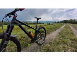 NS Eccentric 27.5