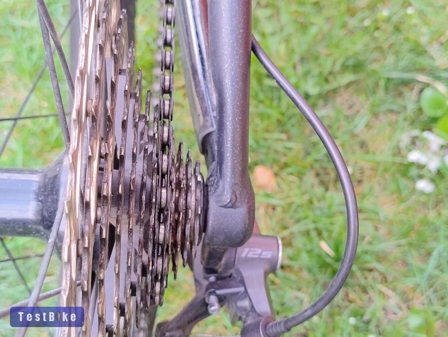 NS Eccentric Alu Evo 2022