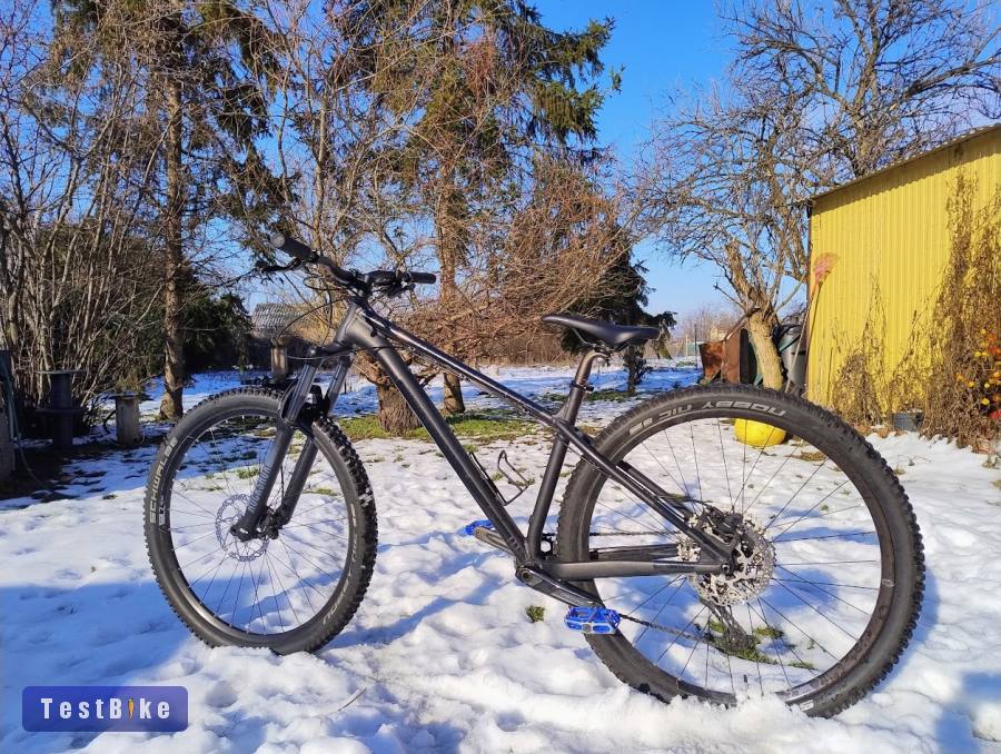 NS Eccentric Alu Evo 2022