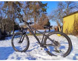 NS Eccentric Alu Evo 2022