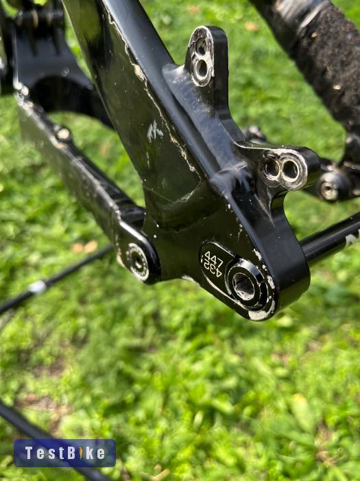 NS Fuzz 2017 tag nélkül