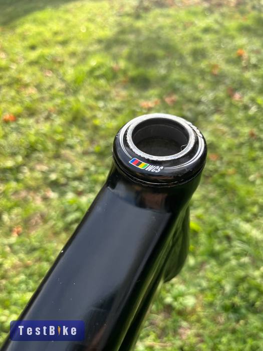 NS Fuzz 2017 tag nélkül