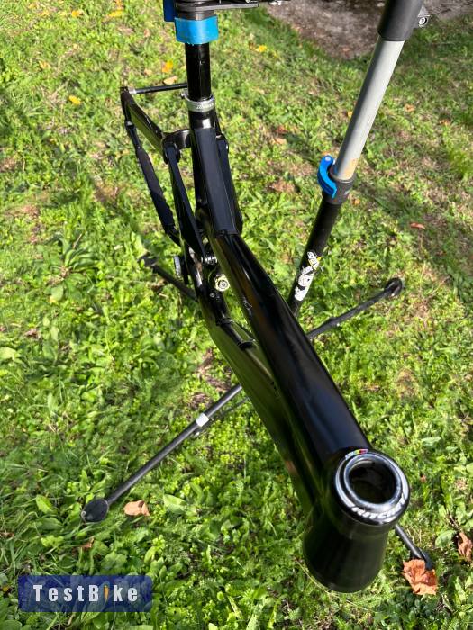 NS Fuzz 2017 tag nélkül