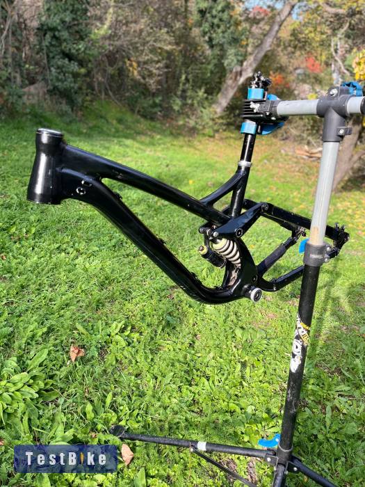 NS Fuzz 2017 tag nélkül