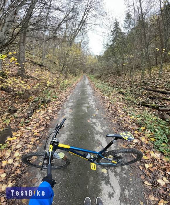 Nukeproof L 27,5 2020 29-es kerekekkel