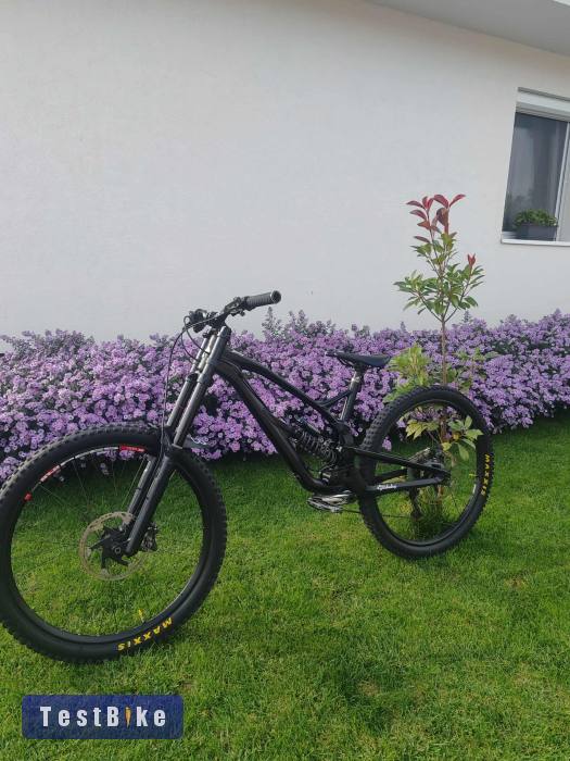 Nukeproof Pulze 2017