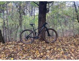 OG Evkin CF52 Custom Carbon Hardtail