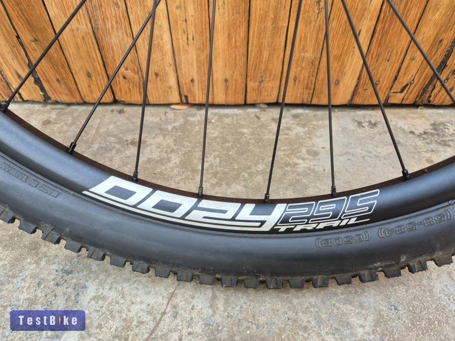 Oozy trail 295/dt swiss 350 15x110 IS